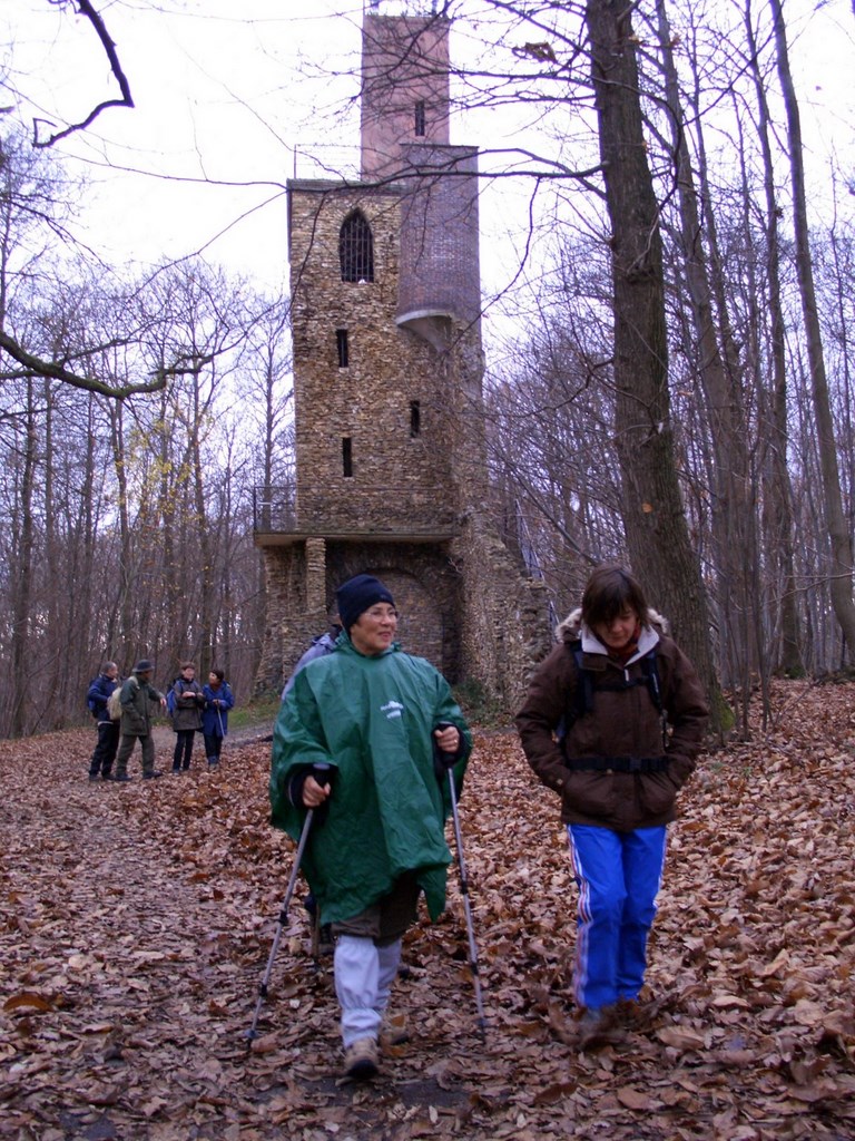 La Forêt De Montmorency, 29-11-2009